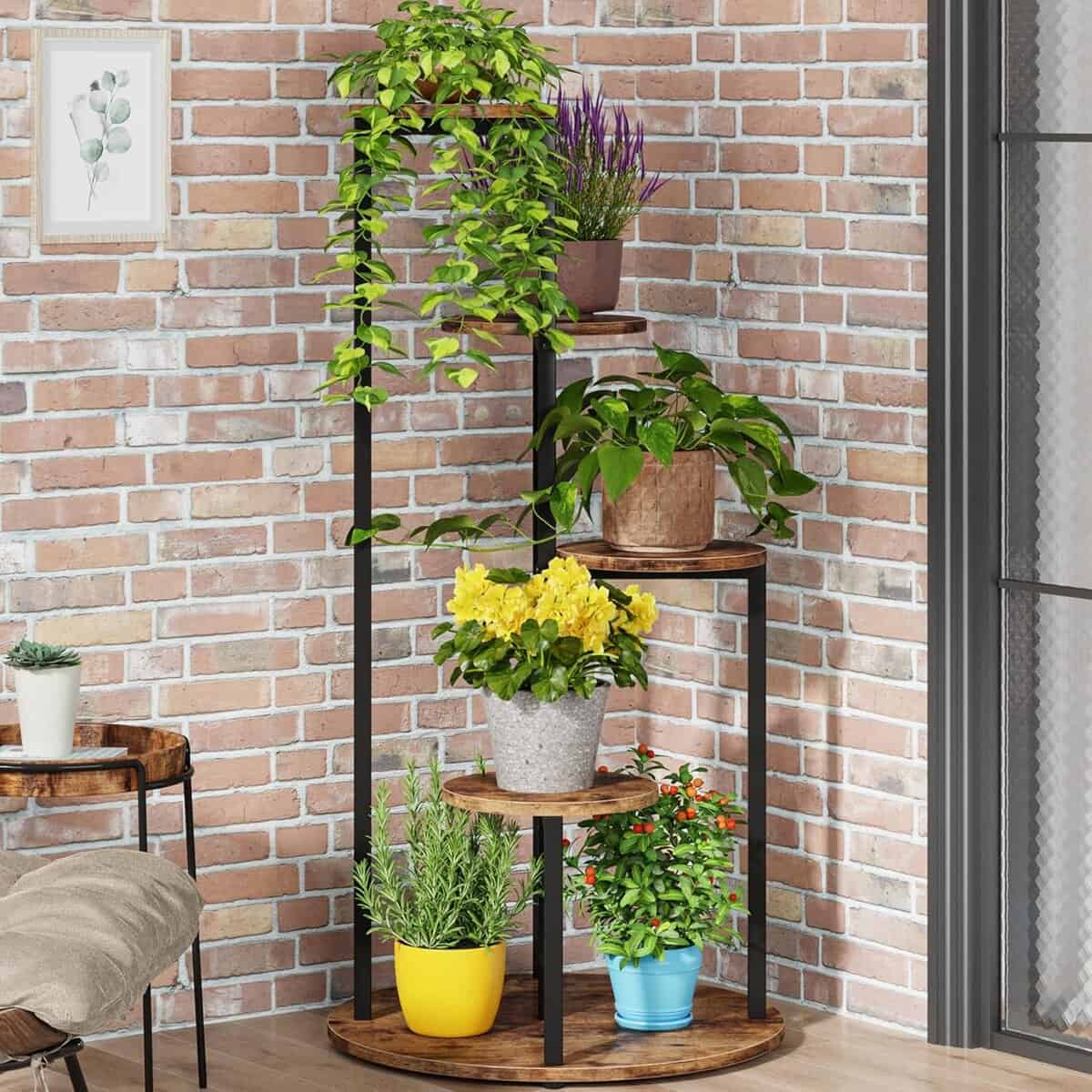 LITTLE TREE 5-Tier Corner Plant Stand