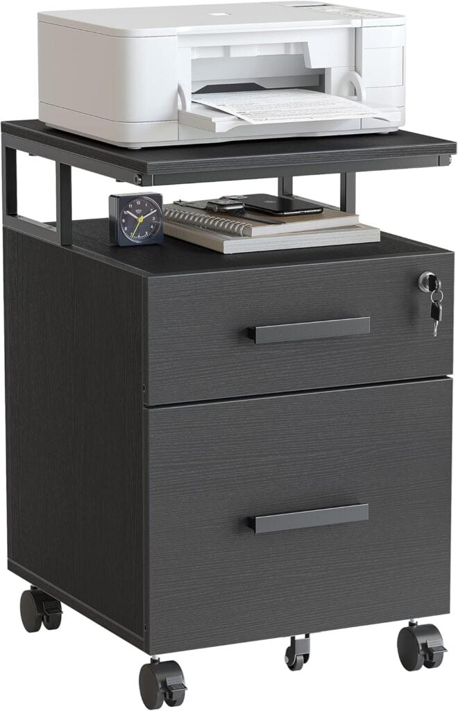 FEZIBO 2-Drawer File Cabinet With Lock for Home Office