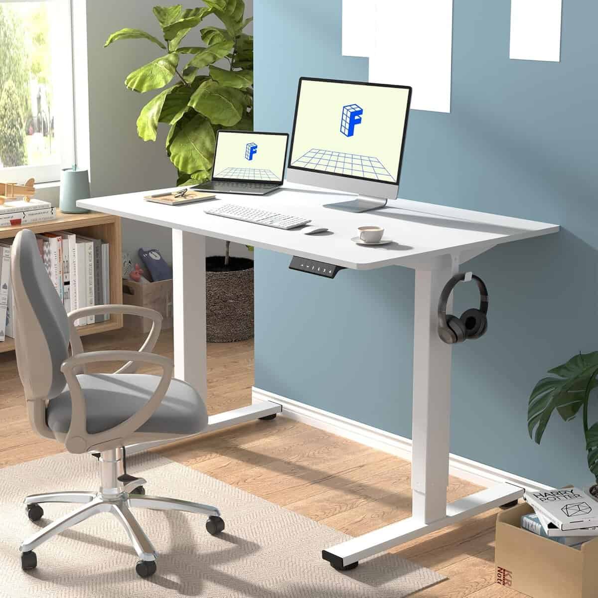 FLEXISPOT 48x24"Electric Standing Desk