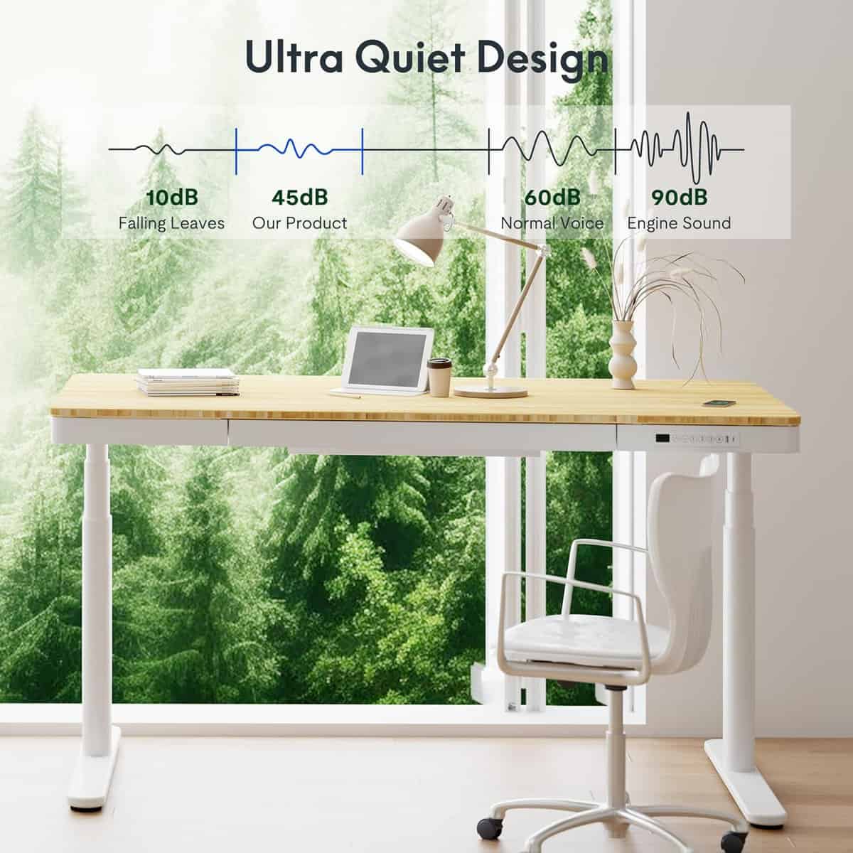 FLEXISPOT 55-Inch Bamboo Electric Standing Desk