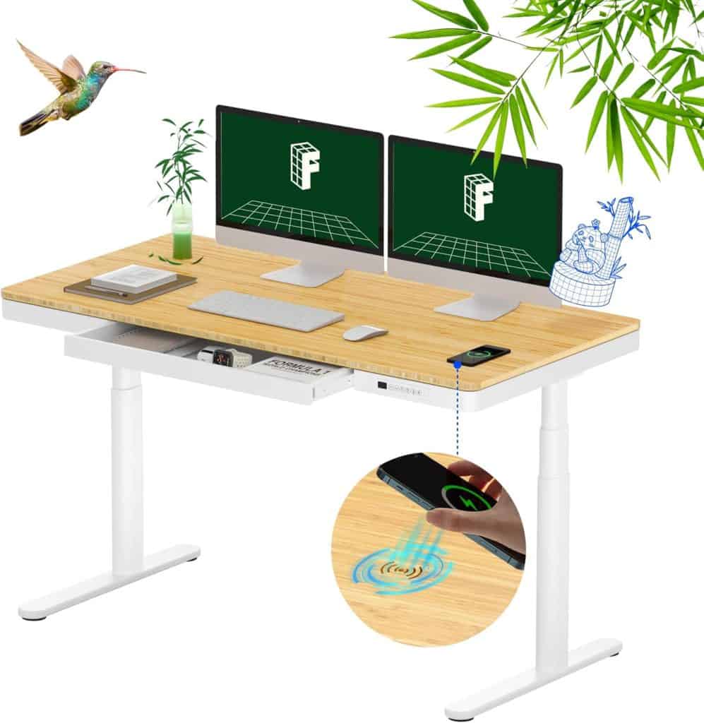 FLEXISPOT 55-Inch Bamboo Electric Standing Desk