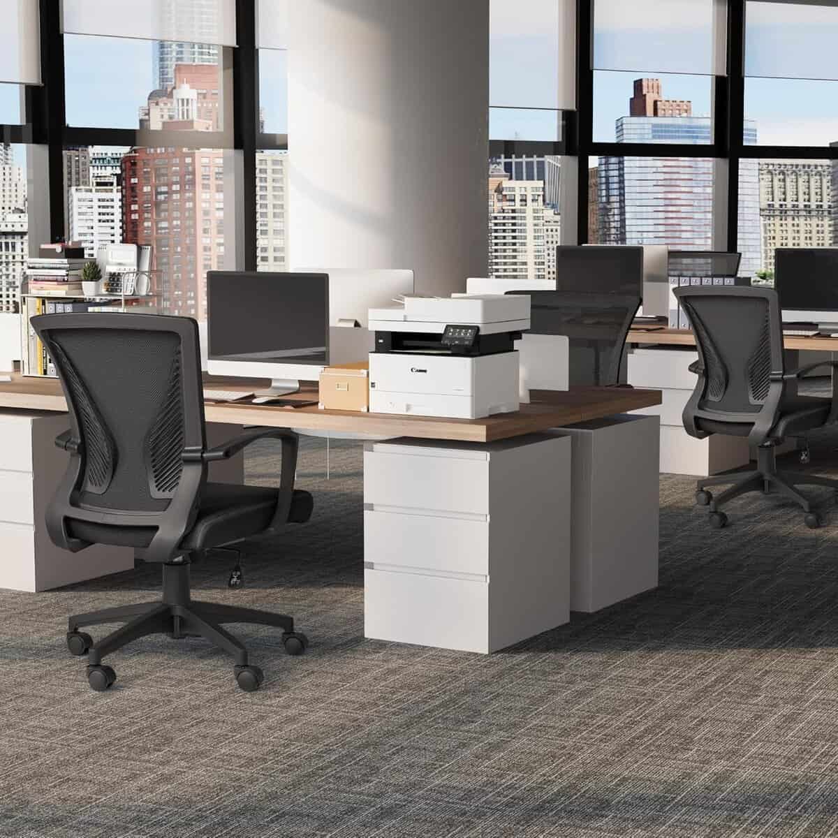 Furmax Ergonomic Office Chair with Lumbar Support