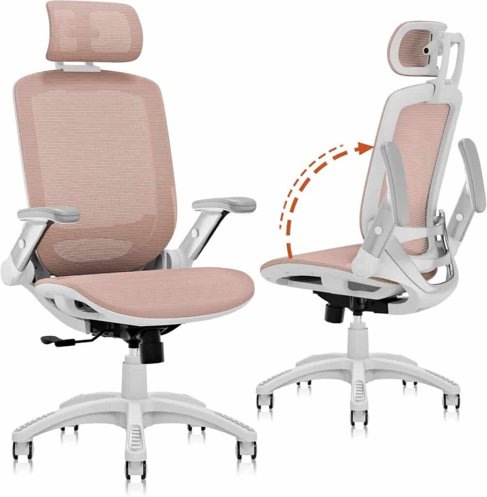 GABRYLLY Ergonomic Office Chair with Pink Mesh