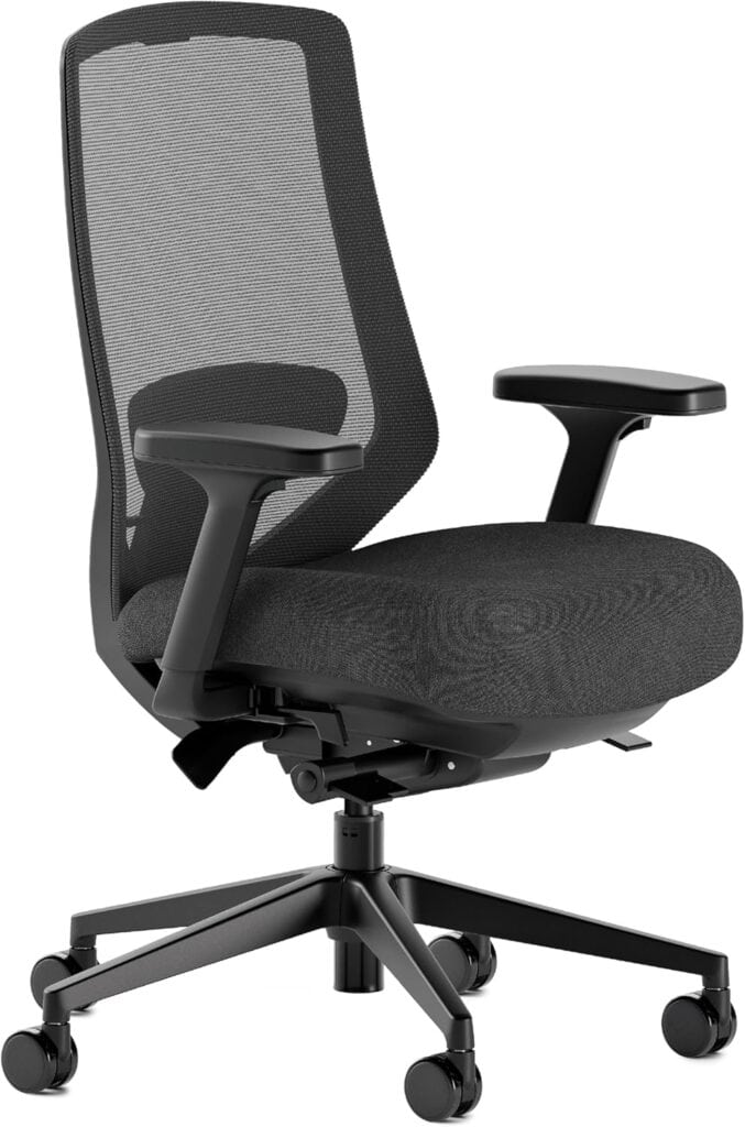 Branch Ergonomic Chair Pro-Black