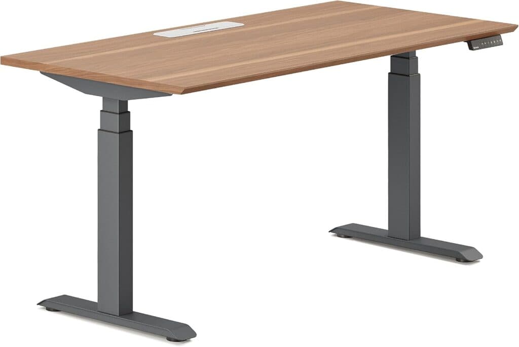 Branch Standing Desk 48 Inches - Dual Motors
