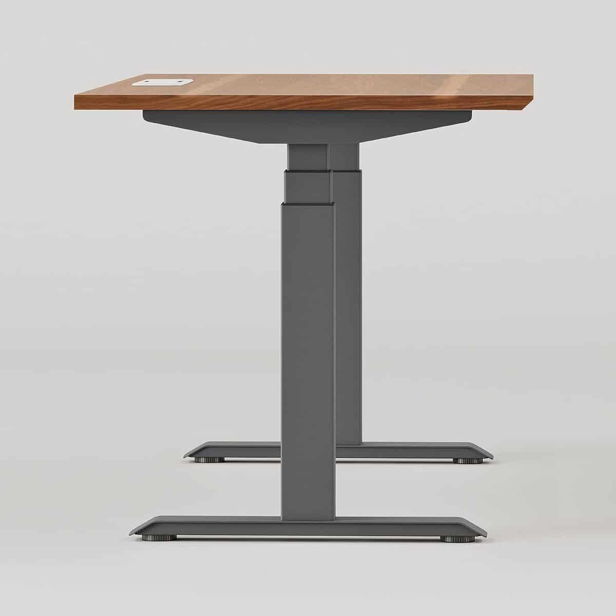 Branch Standing Desk 48 Inches - Dual Motors