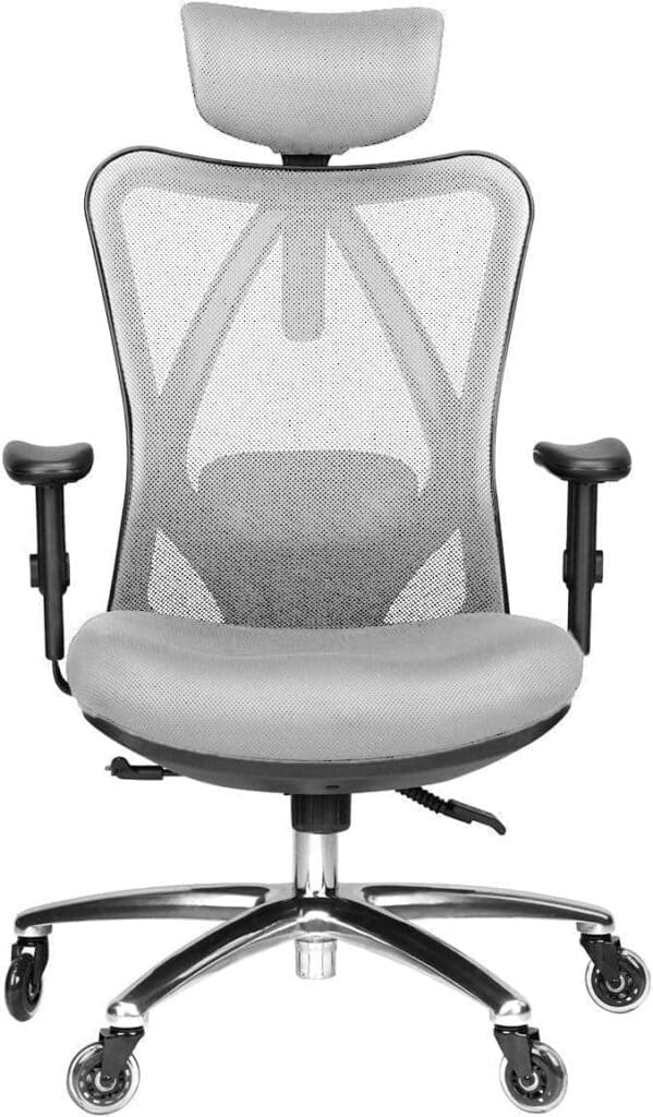 Duramont Ergonomic Office Chair-Grey