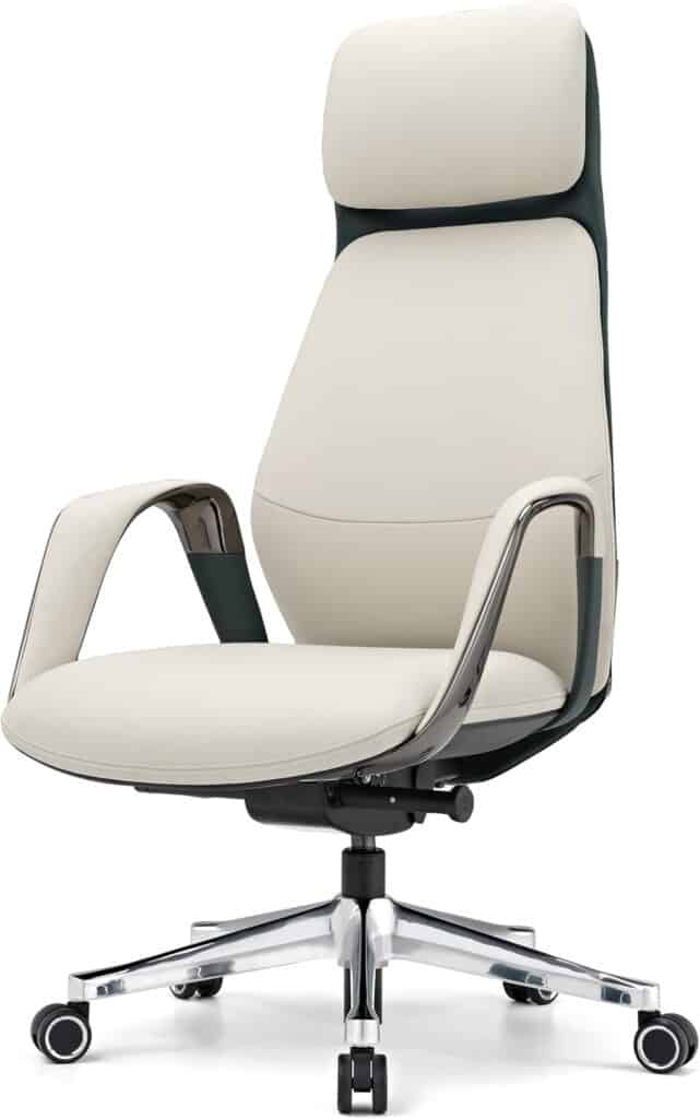 EUREKA ERGONOMIC Comfortable Office Chair