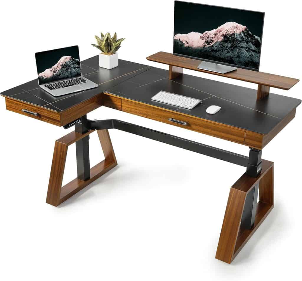 EUREKA ERGONOMIC Electric Standing Desk-Black