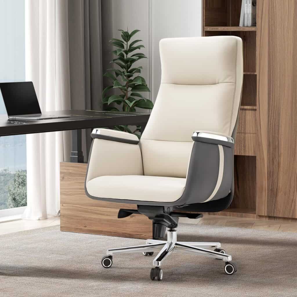 EUREKA ERGONOMIC Executive Office Chair-Beige Gray