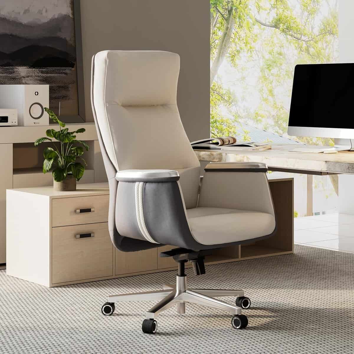 EUREKA ERGONOMIC Executive Office Chair-Beige Gray