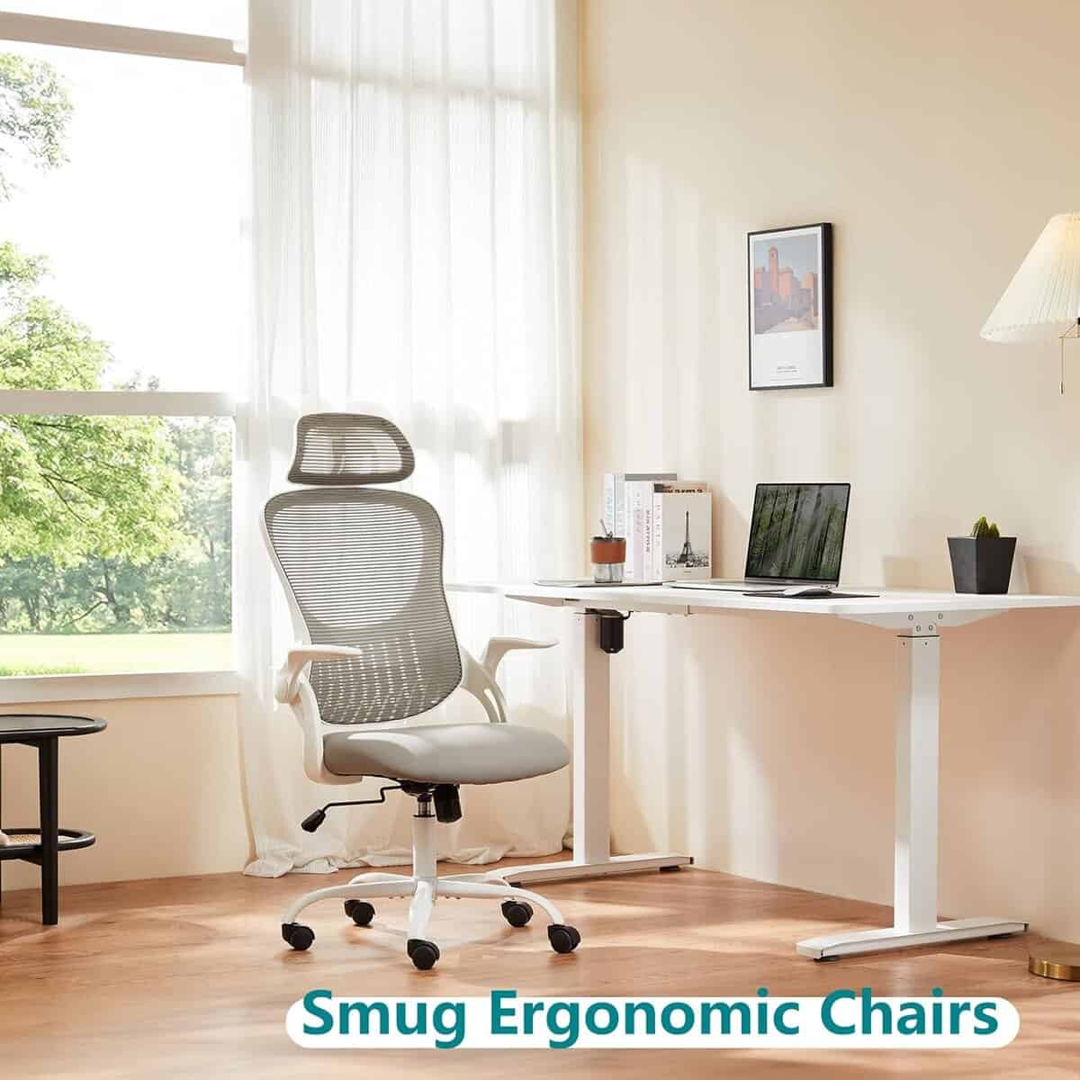 SMUG Grey Ergonomic Office Chair 