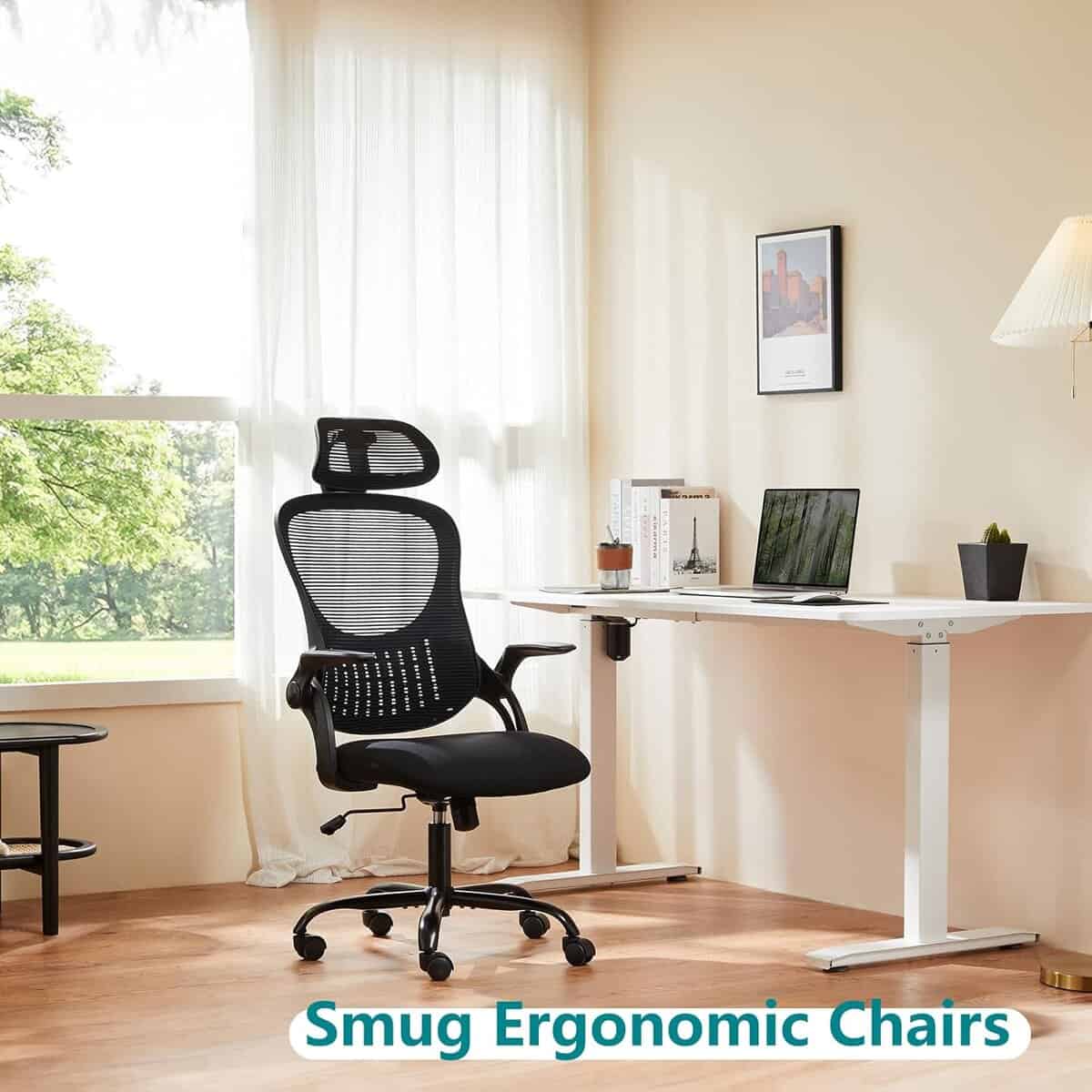 SMUG Office Chair Ergonomic Desk Lumbar Support