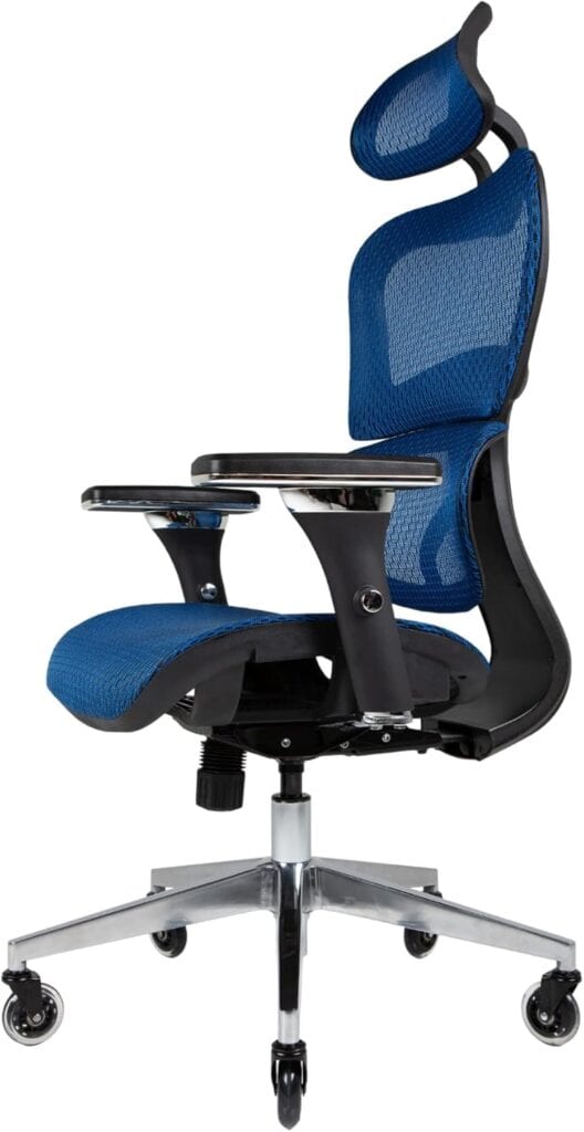 Nouhaus Ergo3D Ergonomic Office Chair-Blue