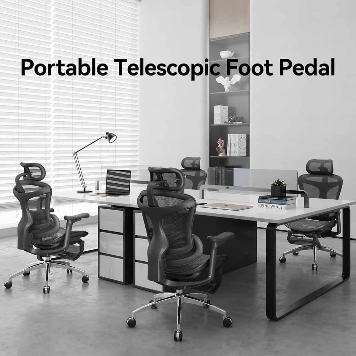 SIHOO Doro C300 Ergonomic Office Chair