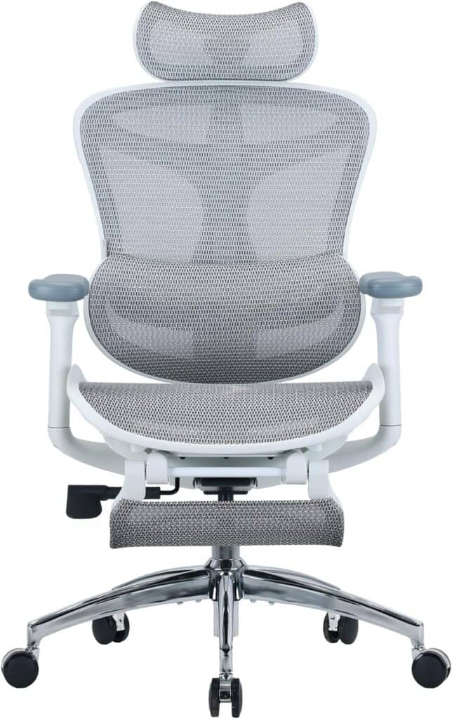 SIHOO Doro C300 Ergonomic Office Chair-Grey