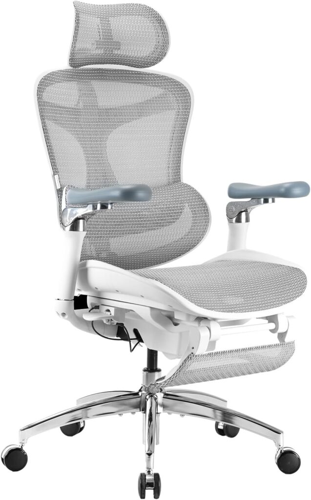 SIHOO Doro C300 Pro Ergonomic Office Chair-(Grey)