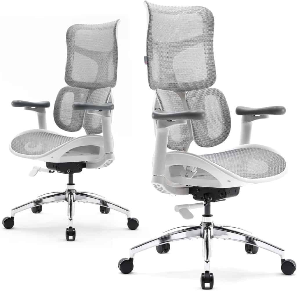 SIHOO Doro S100 Ergonomic Office Chair