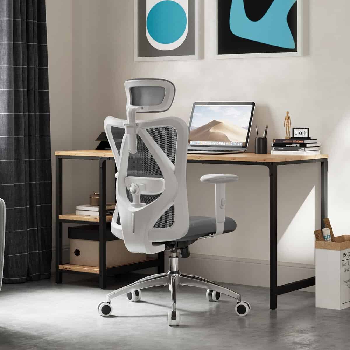 SIHOO M18 Ergonomic Office Chair