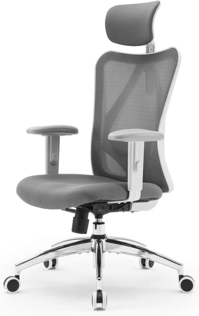 SIHOO M18 Ergonomic Office Chair